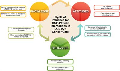 Knowing to Ask and Feeling Safe to Tell - Understanding the Influences of HCP-Patient Interactions in Cancer Care for LGBTQ+ Children and Young People